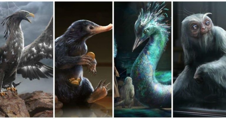 animales fantasticos