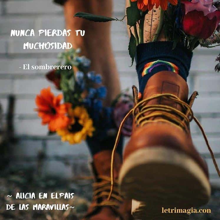 muchosidad botas